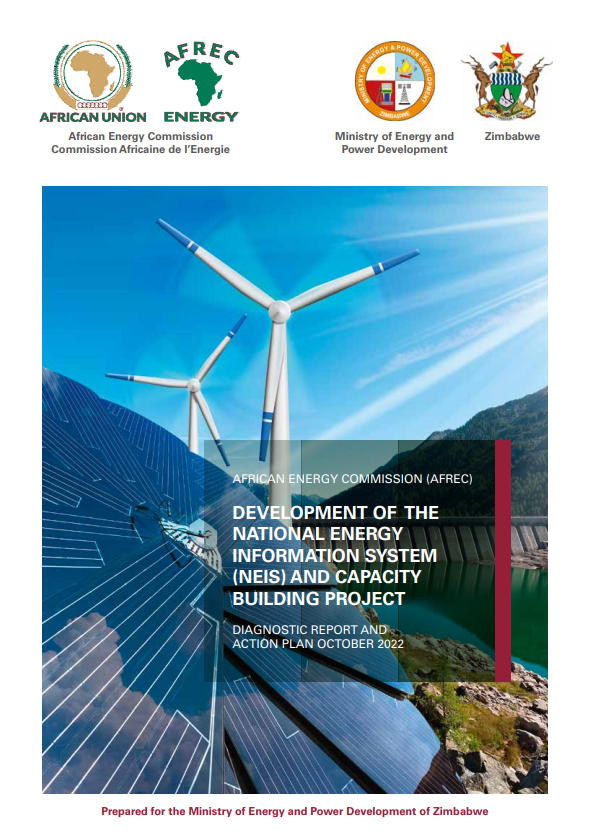 Zimbabwe - DIAGNOSTIC REPORT AND ACTION PLAN