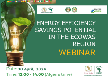 Energy Efficiency ECOWAS