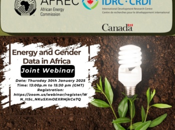Webinar Flyer