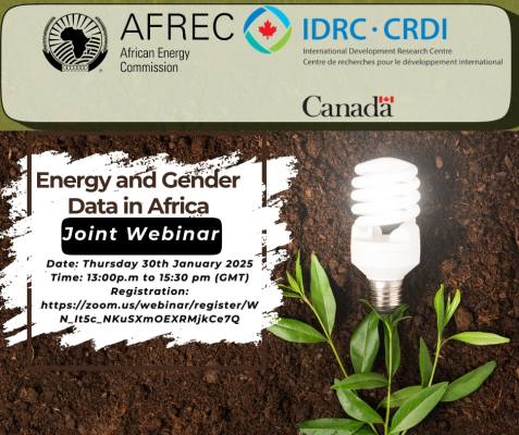 Webinar Flyer
