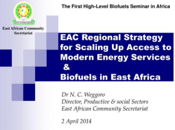 eac-regional-strategy-for-scaling-up-access-to-modern-energy-services-biofuels-in-east-africa-l.jpg